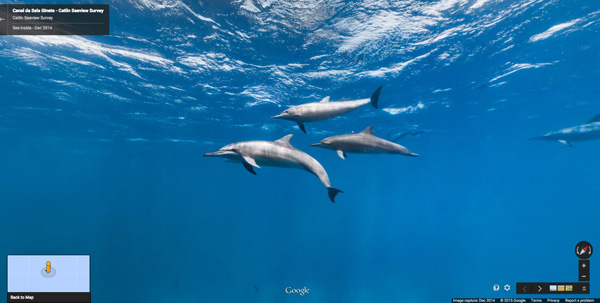 Canal da Sela Ginete Explore Brazils protected islands on land and underwater with Google Street View