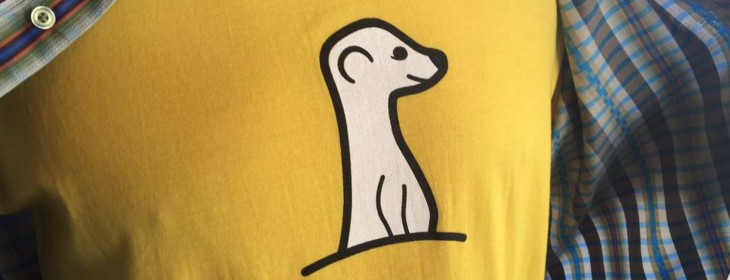 Meerkat is giving up on livestreaming to build a social network instead