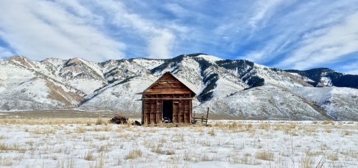 Screen Shot 2015-03-02 at 9.03.42 am