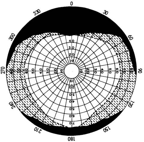 image02613 Portrait video is here to stay, you might as well just accept it now