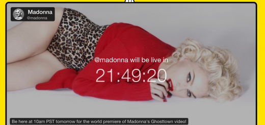 madonna meerkat