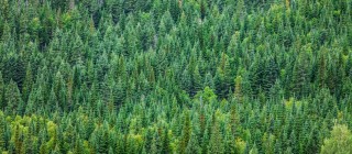 shutterstock_220527538