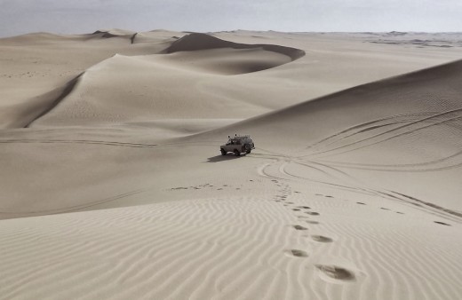 The future of product management The future of product management