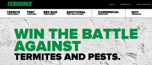 terminix 520x225 6 simple tips for designing copy on the Web