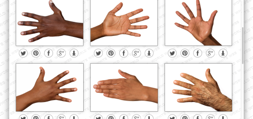 World White Web project wants to make Google's search results more diverse world-white-website-2