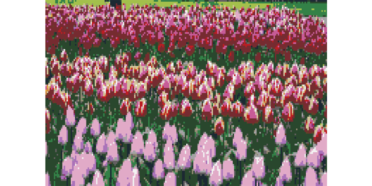 Awesome! Legoizer converts your photos into Lego murals