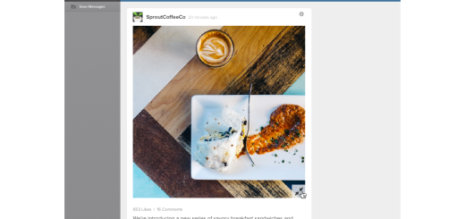 Sprout-Social-Instagram-Full-Sized-Images