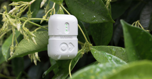 rfedx1wgijitogn9nfuo