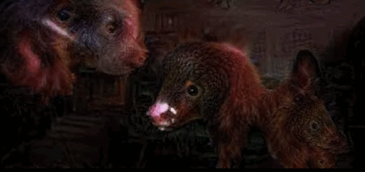 HunterHorror