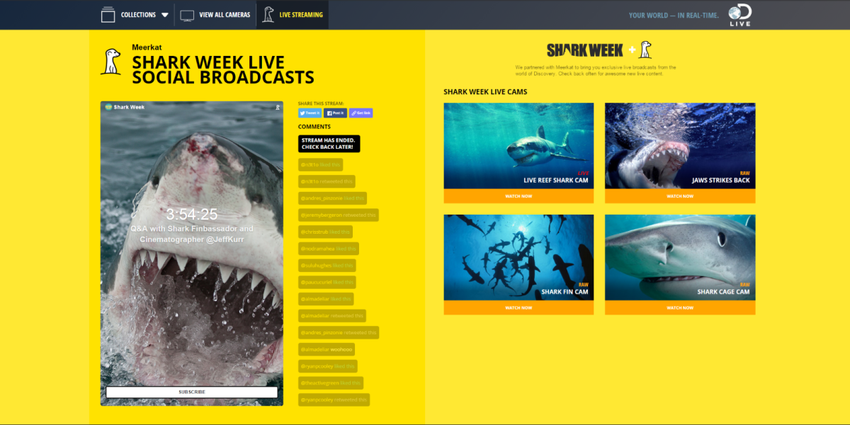 Discovery links up with Meerkat for live video streams during Shark Week