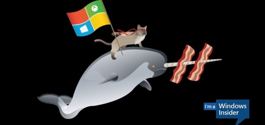 Windows10NinjaCatTNW