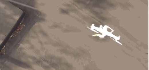 drone rescue