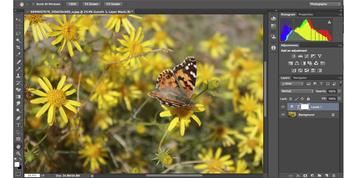 10 Photoshop alternatives that offer powerful editing and photo management controls