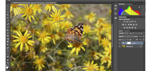 10 Photoshop alternatives offer powerful editing and photo management controls photoshopfeat