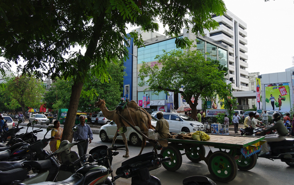 A slice of Ahmedabad. Gujarat is home to India's current Prime Minister Narendra Modi