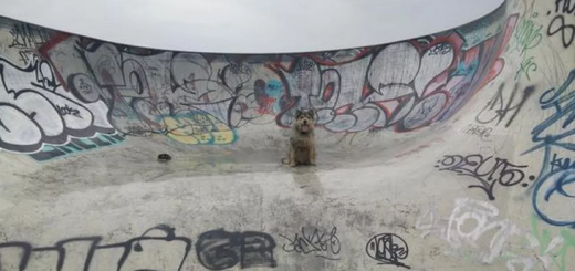 Screen Shot 2015-08-19 at 14.01.28