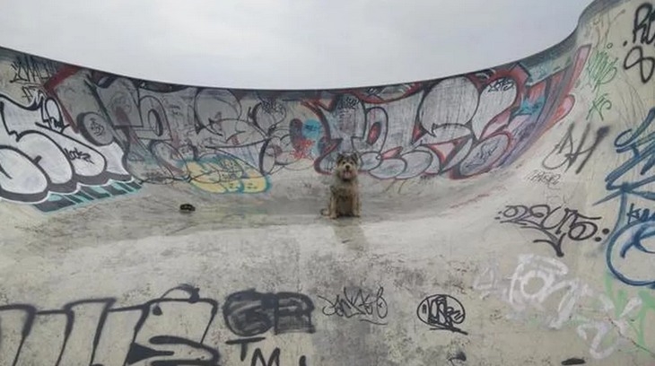 Hole Quest: When Twitter turns your real life into a point-and-click game