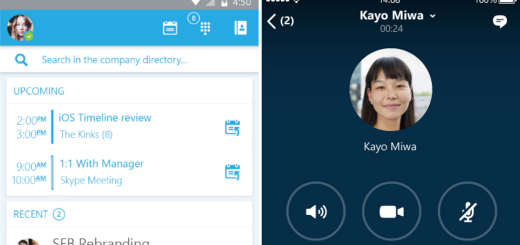 Skype_biz