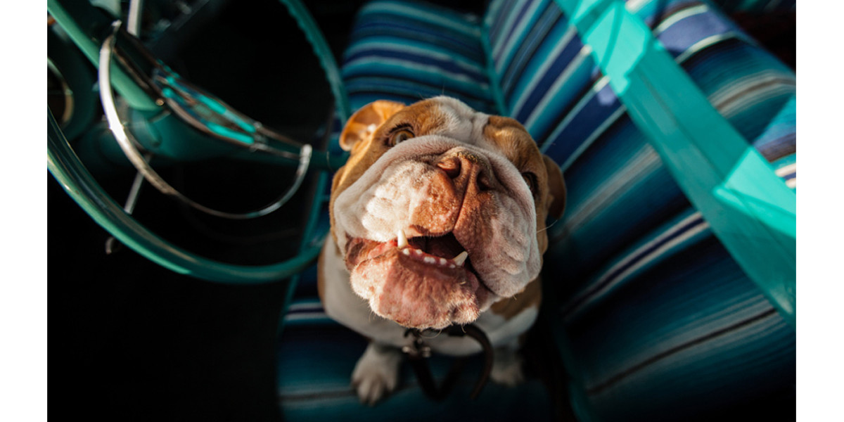500px splits its photo marketplace into two tiers, targeting a range of buyers