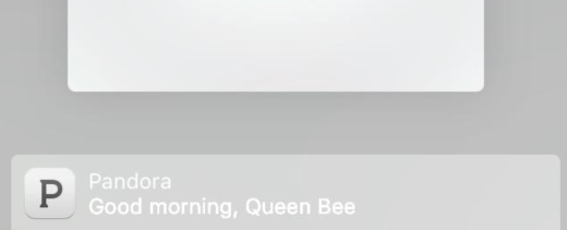 Screen-Shot-2015-08-14-at-11.12.19-AM-520x211