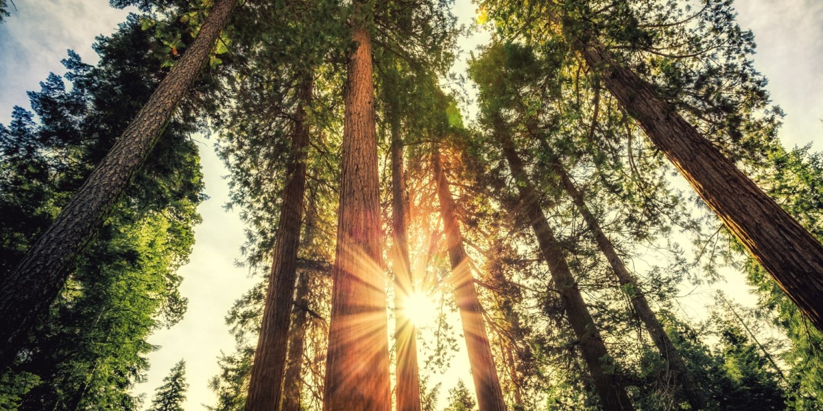 Looking to grow? Catch these 5 experts at TNW Conference in New York