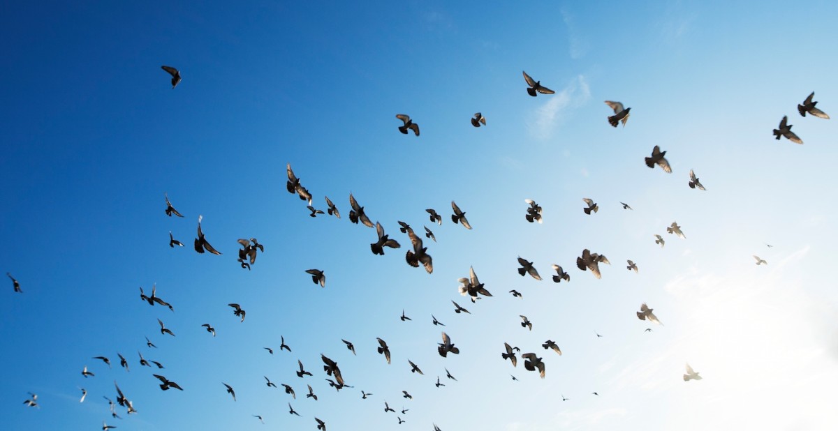 10 of the most effective growth hacks (from a pro)