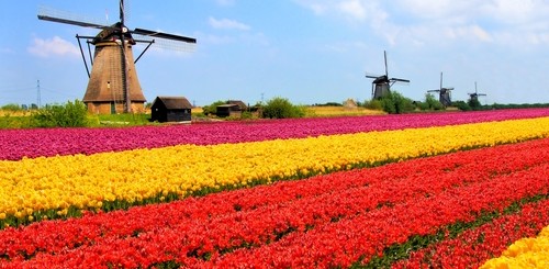 shutterstock_191064659