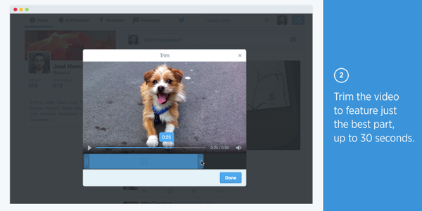 Twitter is really serious about video now