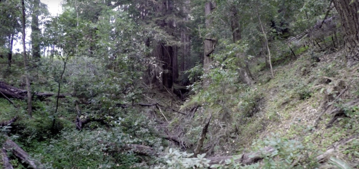 Screen Shot 2015-10-28 at 4.00.38 PM