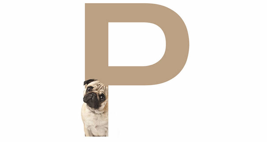 When dogs and fonts come together, magic happens