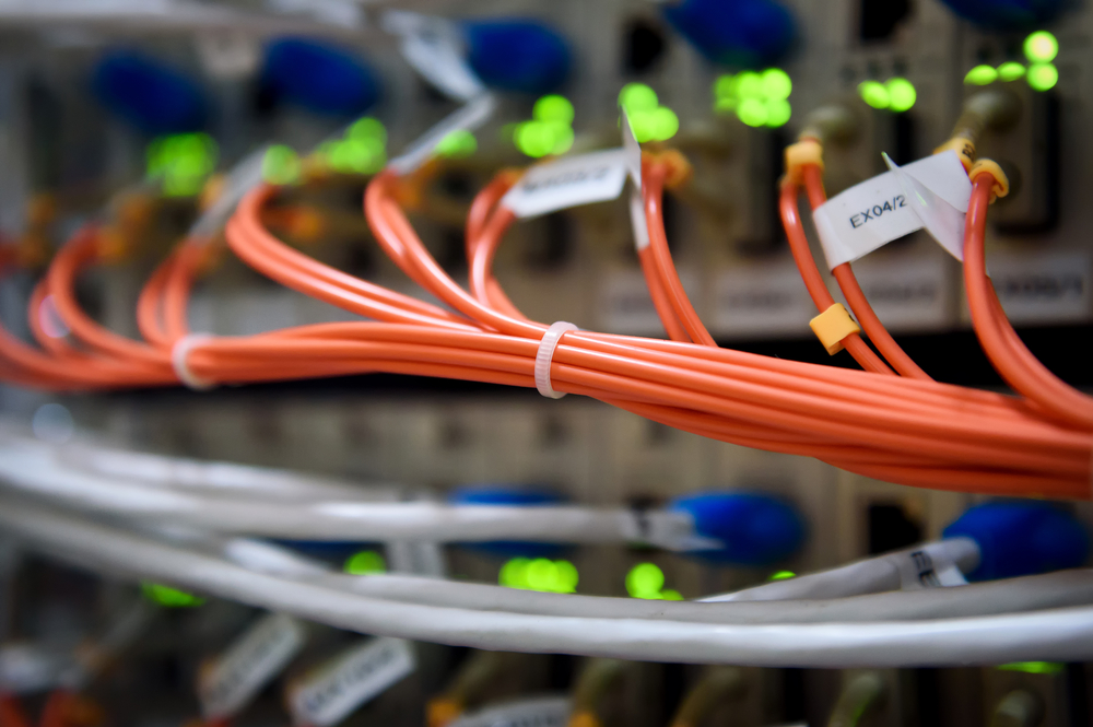 Leaked TPP agreement requires member countries to honor copyright takedowns