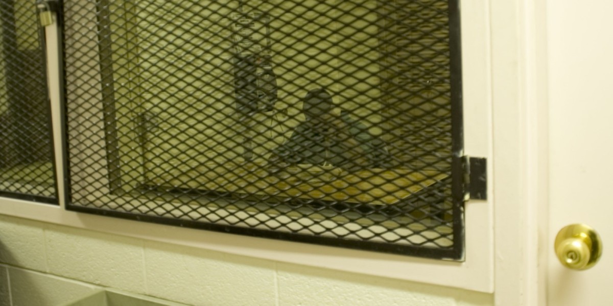 Massive US prison phone service breach shows inmates’ calls to their lawyers aren’t private ...