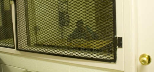 82371499_9f2031b7e9_o_Prison phone call