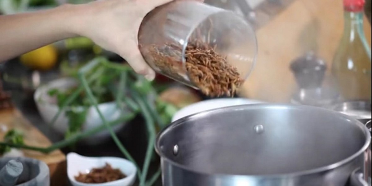 I’m not ready for this insects-for-food Kickstarter campaign