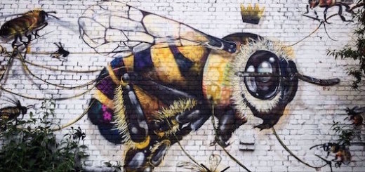 5_Honey-Bee-Graffiti copy