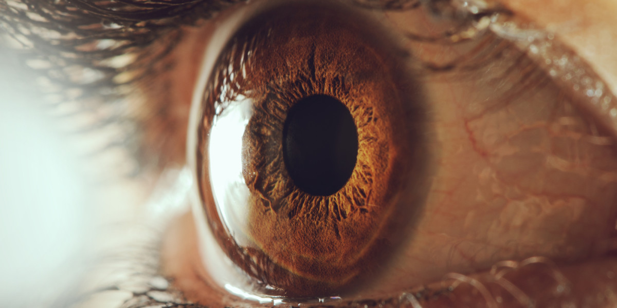 Bionic eye could ‘cure’ blindness by bypassing retina entirely
