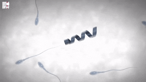 ‘Spermbots’ are a bionic suit for your sperm