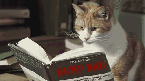 What TNW is reading (week 1)