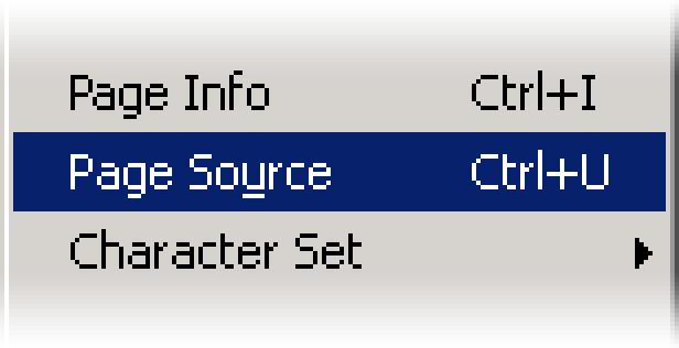 View Page Source