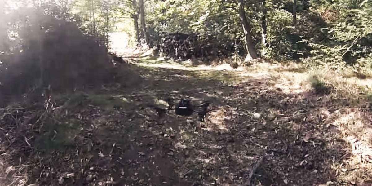 Drones can now follow forest trails to find lost hikers