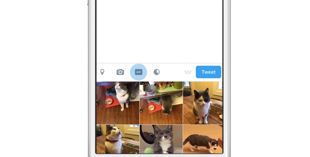 Twitter is adding a dedicated GIF button to make your timeline and DMs more animated