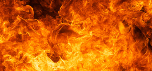 shutterstock_119642269