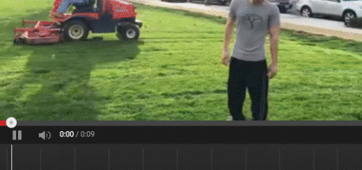 vid_3