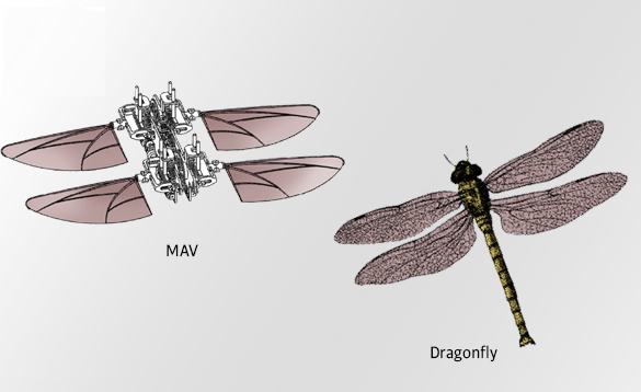 This week in patents: Phantom limbs, battling cancer, and more