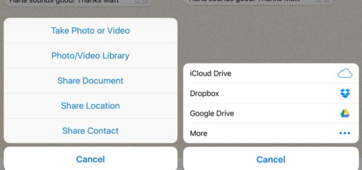WhatsApp file sharing