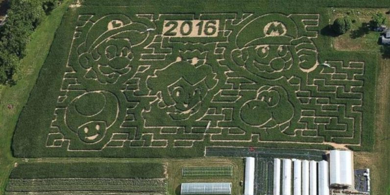 There’s a Super Mario-themed corn maze and we want to go to here