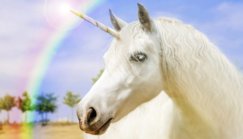 photo of One does not simply wake up a unicorn… image