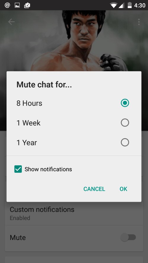 You can now mute conversations from individual contacts