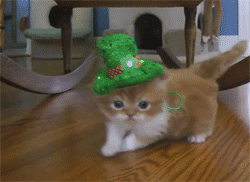 Happy St Patrick's Day!