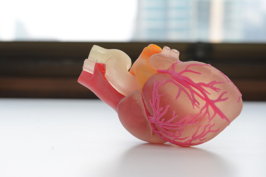 3d print heart organ